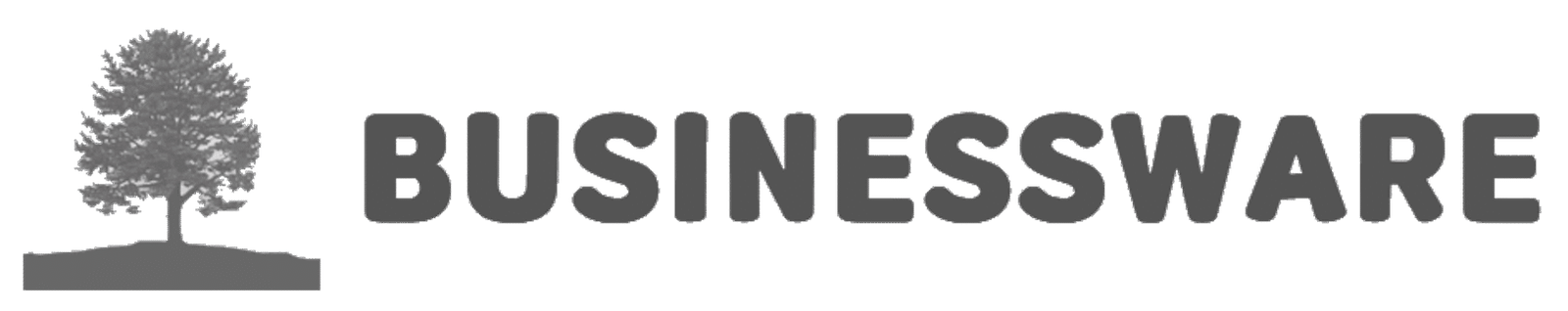 Businessware Bookstore and more ...